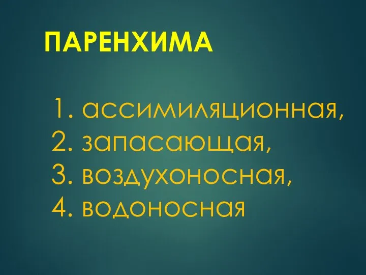 ПАРЕНХИМА 1. ассимиляционная, 2. запасающая, 3. воздухоносная, 4. водоносная