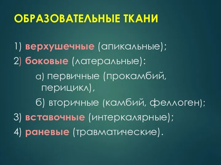 ОБРАЗОВАТЕЛЬНЫЕ ТКАНИ 1) верхушечные (апикальные); 2) боковые (латеральные): а) первичные (прокамбий,