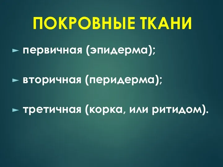 первичная (эпидерма); вторичная (перидерма); третичная (корка, или ритидом). ПОКРОВНЫЕ ТКАНИ