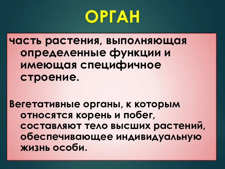 ОРГАН часть растения, выполняющая определенные функции и имеющая специфичное строение. Вегетативные