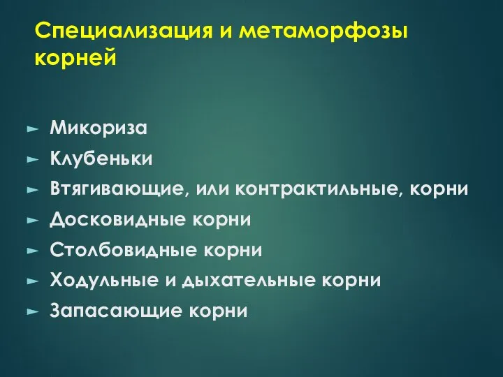 Специализация и метаморфозы корней Микориза Клубеньки Втягивающие, или контрактильные, корни Досковидные