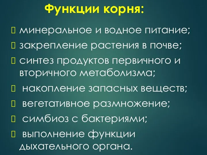 Функции корня: минеральное и водное питание; закрепление растения в почве; синтез