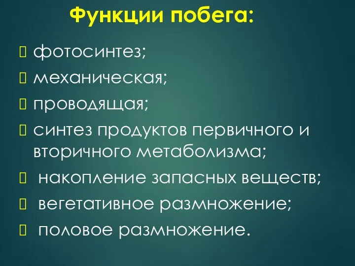 Функции побега: фотосинтез; механическая; проводящая; синтез продуктов первичного и вторичного метаболизма;