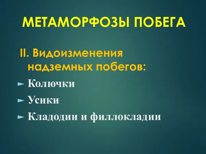 МЕТАМОРФОЗЫ ПОБЕГА II. Видоизменения надземных побегов: Колючки Усики Кладодии и филлокладии