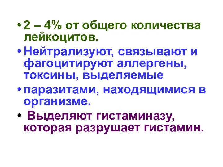 2 – 4% от общего количества лейкоцитов. Нейтрализуют, связывают и фагоцитируют