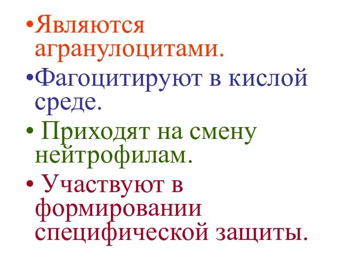 Являются агранулоцитами. Фагоцитируют в кислой среде. Приходят на смену нейтрофилам. Участвуют в формировании специфической защиты.