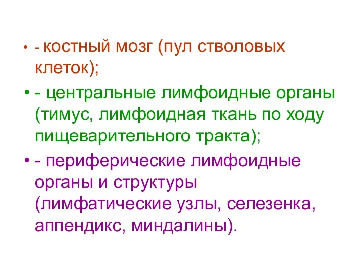 - костный мозг (пул стволовых клеток); - центральные лимфоидные органы (тимус,