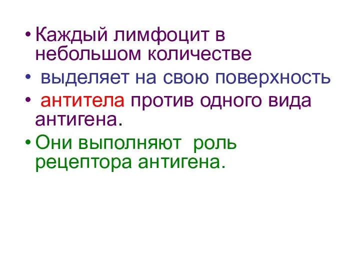 Каждый лимфоцит в небольшом количестве выделяет на свою поверхность антитела против