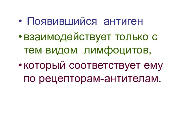 Появившийся антиген взаимодействует только с тем видом лимфоцитов, который соответствует ему по рецепторам-антителам.