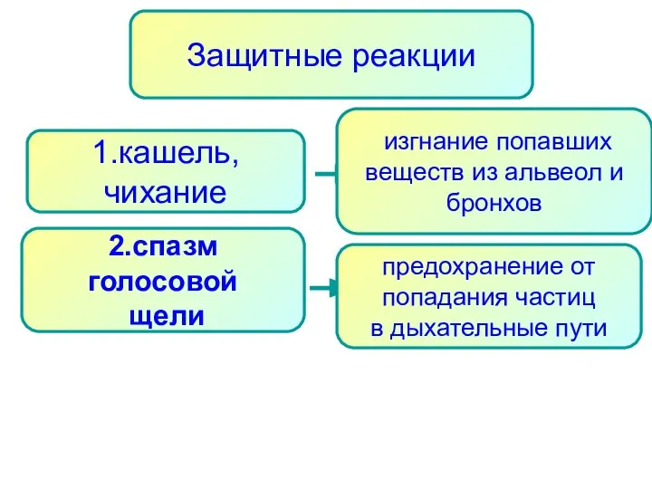 Защитные реакции изгнание попавших веществ из альвеол и бронхов 1.кашель, чихание