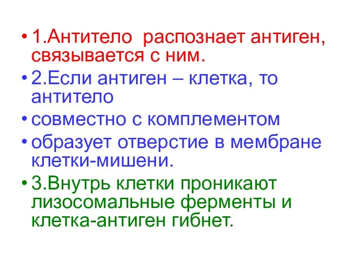 1.Антитело распознает антиген, связывается с ним. 2.Если антиген – клетка, то