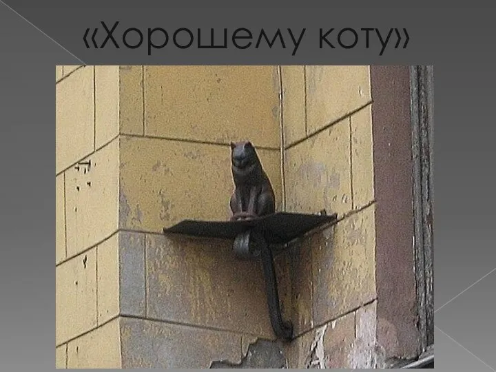 «Хорошему коту»