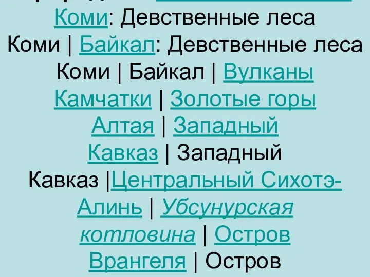 Природное: Девственные леса Коми: Девственные леса Коми | Байкал: Девственные леса