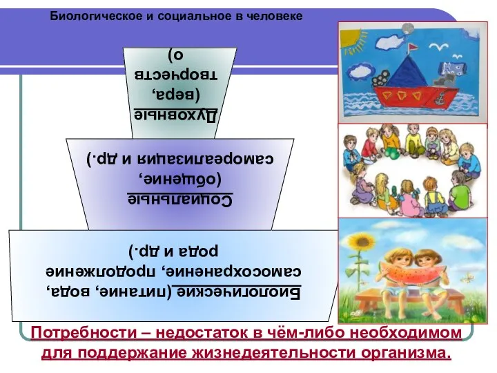 Биологическое и социальное в человеке Потребности – недостаток в чём-либо необходимом для поддержание жизнедеятельности организма.