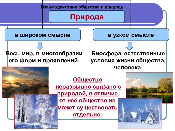 Взаимодействие общества и природы Весь мир, в многообразии его форм и