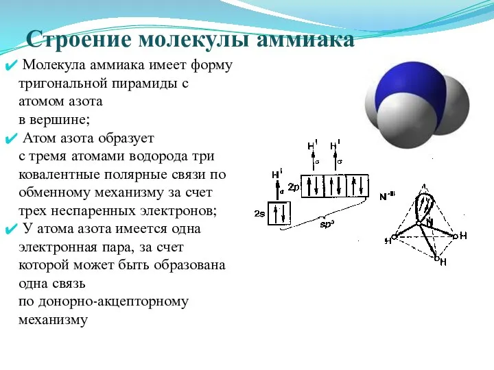 Строение молекулы аммиака Молекула аммиака имеет форму тригональной пирамиды с атомом