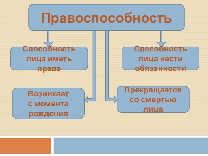 Правоспособность Способность лица иметь права Способность лица нести обязанности Возникает с