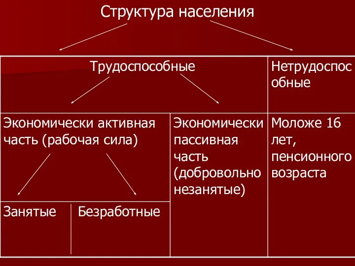 Структура населения