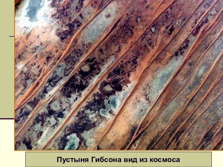 Вид из космоса Барханы Большой Австралийской пустыни Пустыня Гибсона вид из космоса