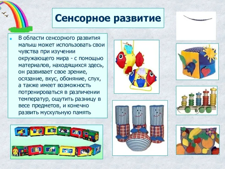 Сенсорное развитие В области сенсорного развития малыш может использовать свои чувства