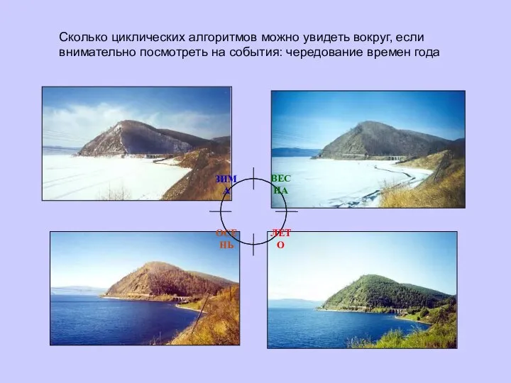 Сколько циклических алгоритмов можно увидеть вокруг, если внимательно посмотреть на события: чередование времен года