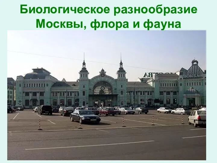 Биологическое разнообразие Москвы, флора и фауна