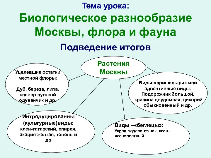 Тема урока: Биологическое разнообразие Москвы, флора и фауна Подведение итогов Растения