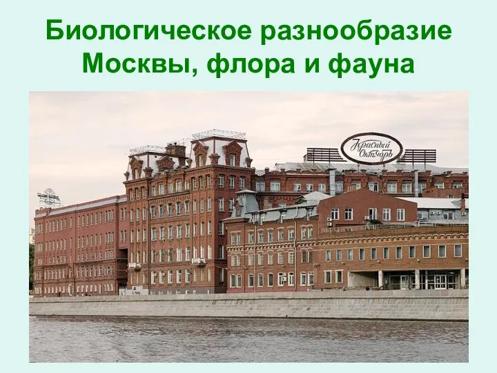 Биологическое разнообразие Москвы, флора и фауна