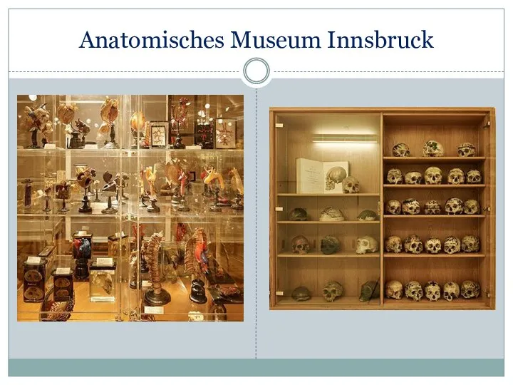 Anatomisches Museum Innsbruck