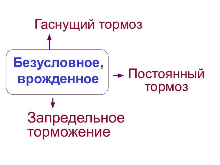 Безусловное, врожденное Гаснущий тормоз Постоянный тормоз Запредельное торможение