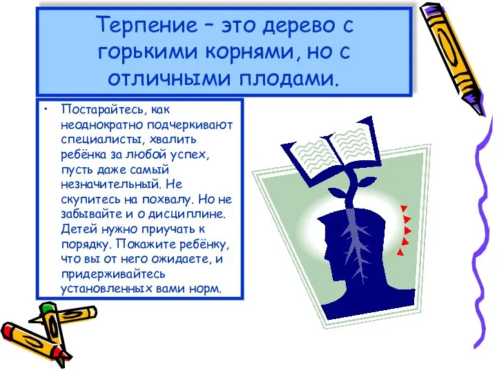 Терпение – это дерево с горькими корнями, но с отличными плодами.