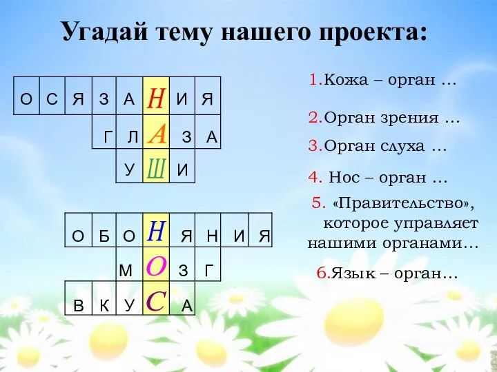 Угадай тему нашего проекта: 1.Кожа – орган … 2.Орган зрения …