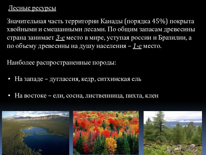 Лесные ресурсы Значительная часть территории Канады (порядка 45%) покрыта хвойными и