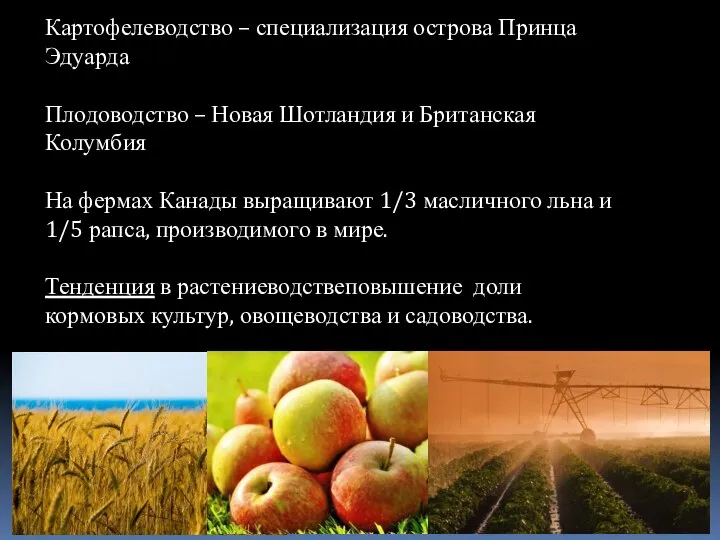 Картофелеводство – специализация острова Принца Эдуарда Плодоводство – Новая Шотландия и