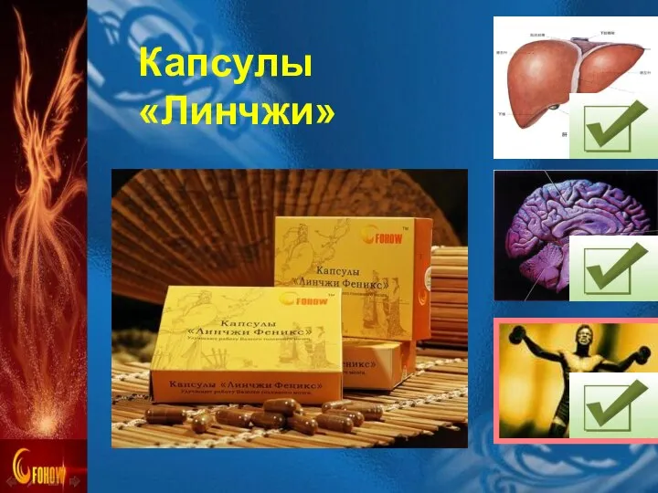 Капсулы «Линчжи»