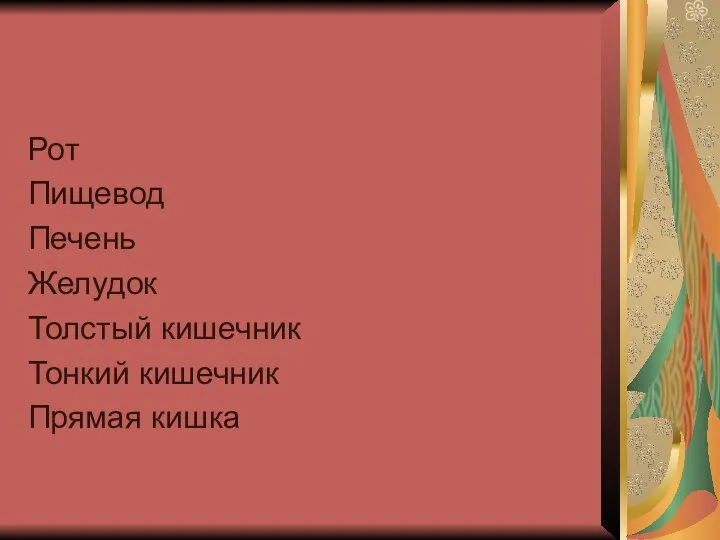 Рот Пищевод Печень Желудок Толстый кишечник Тонкий кишечник Прямая кишка