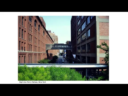 High Line Park, Chelsea, New York