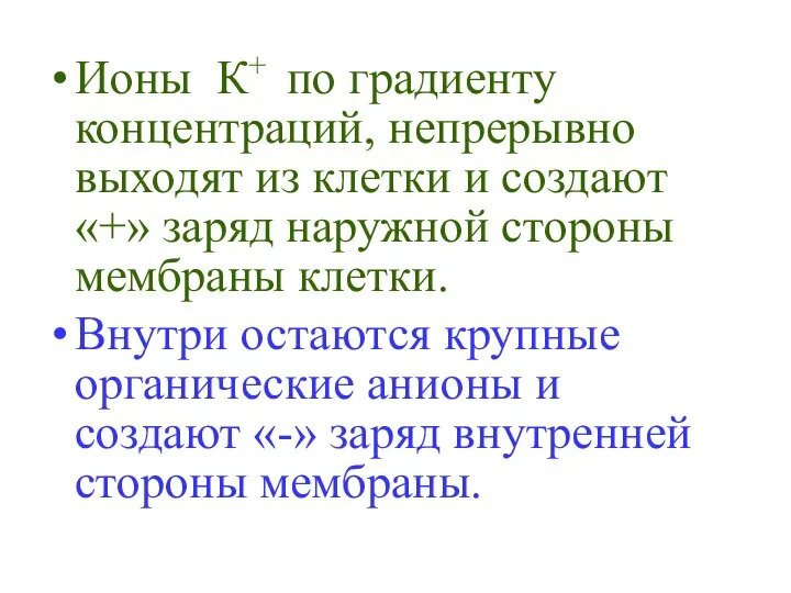 Ионы К+ по градиенту концентраций, непрерывно выходят из клетки и создают