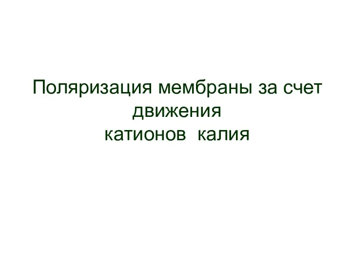 Поляризация мембраны за счет движения катионов калия