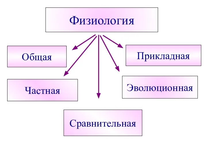 Общая Частная Сравнительная Эволюционная Прикладная Физиология