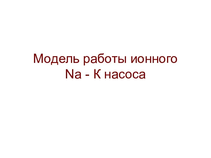 Модель работы ионного Na - К насоса