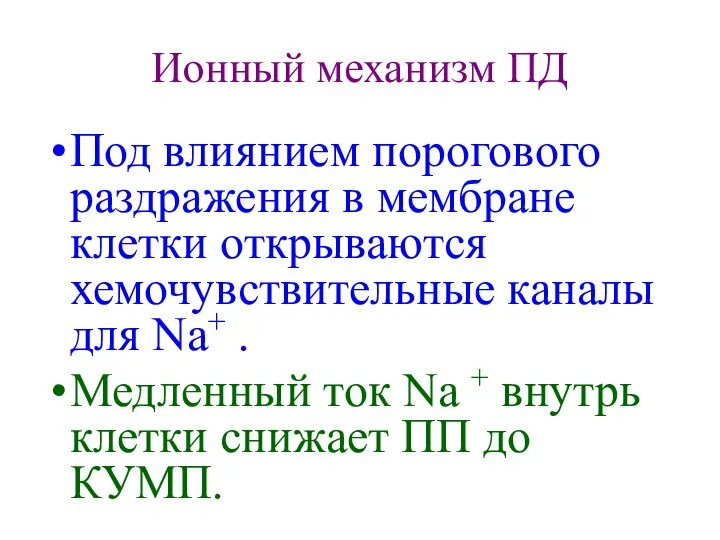 Ионный механизм ПД Под влиянием порогового раздражения в мембране клетки открываются