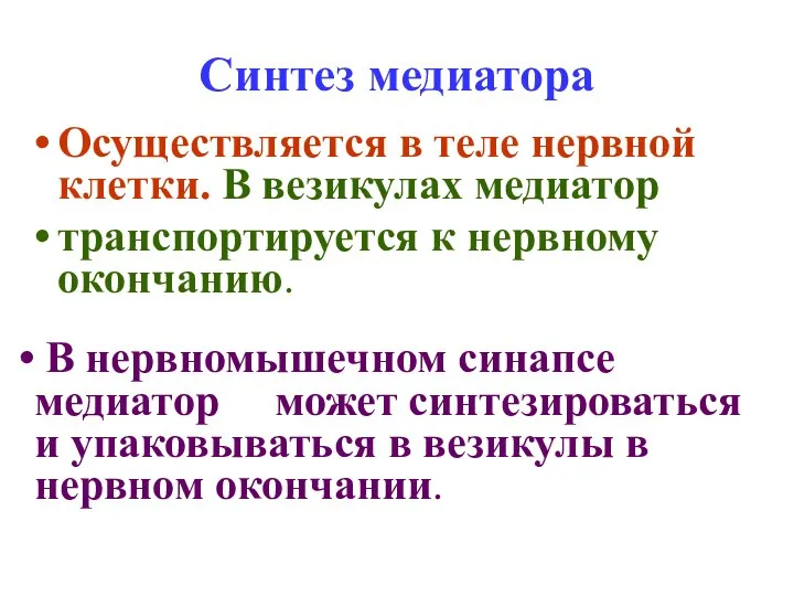 Синтез медиатора Осуществляется в теле нервной клетки. В везикулах медиатор транспортируется