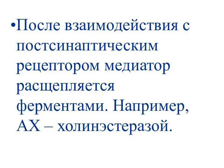 После взаимодействия с постсинаптическим рецептором медиатор расщепляется ферментами. Например, АХ – холинэстеразой.