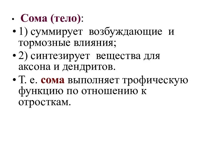 Сома (тело): 1) суммирует возбуждающие и тормозные влияния; 2) синтезирует вещества