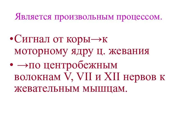 Является произвольным процессом. Сигнал от коры→к моторному ядру ц. жевания →по