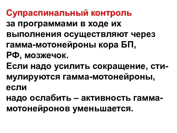 Супраспинальный контроль за программами в ходе их выполнения осуществляют через гамма-мотонейроны