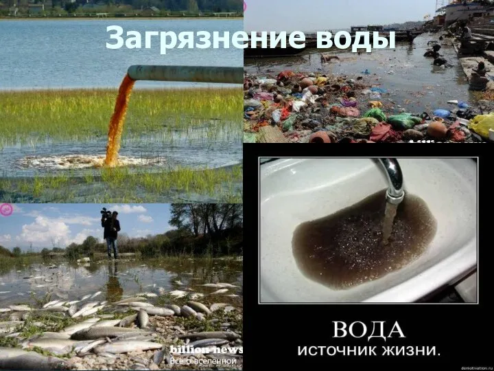 Загрязнение воды