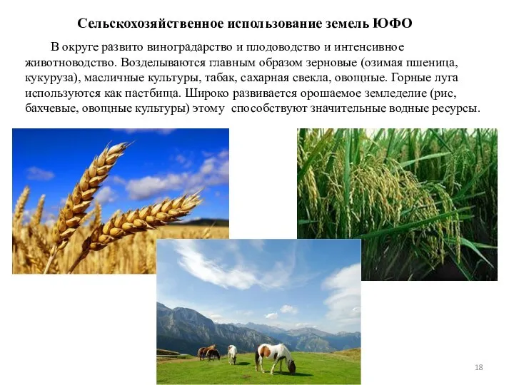 В округе развито виноградарство и плодоводство и интенсивное животноводство. Возделываются главным