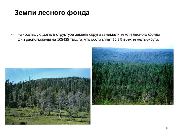 Земли лесного фонда Наибольшую долю в структуре земель округа занимали земли